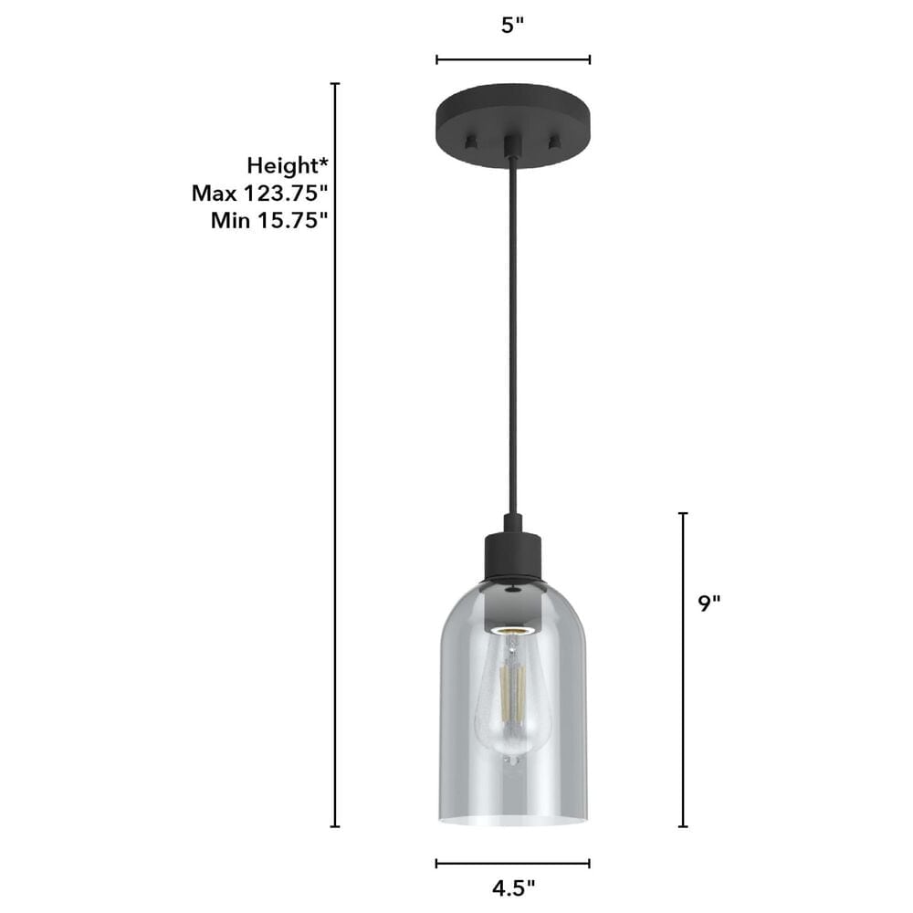 Hunter Lochmeade 1-Light Mini Pendant in Natural Iron, , large