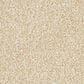 Masland Saint Luca Carpet in Ageless, , large