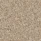 Philadelphia Champagne Taste I Carpet in Straw Hat, , large