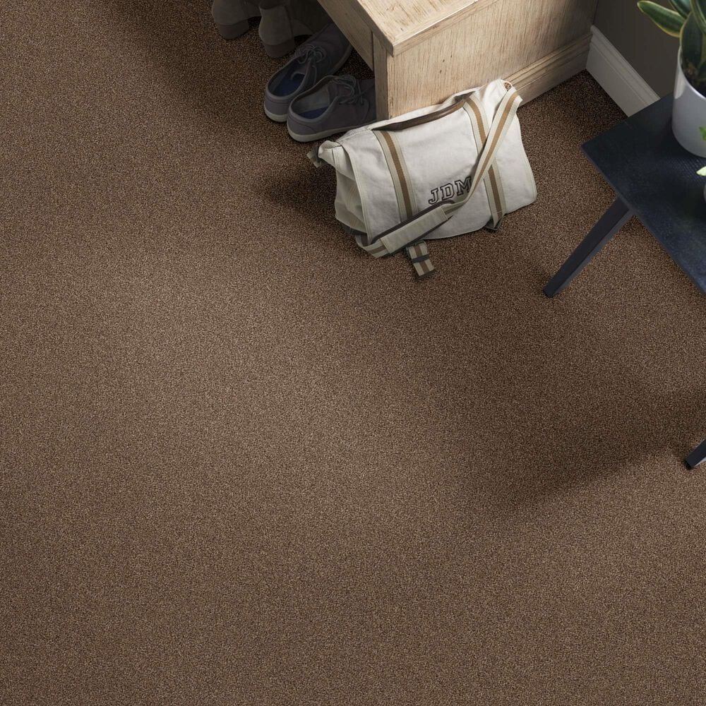 Anderson Tuftex Caress Cozy Harbor I Carpet in Raw Wood, , large