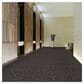 Shaw Sound Advice 24" x 24" Carpet Tile in Stay Active, , large