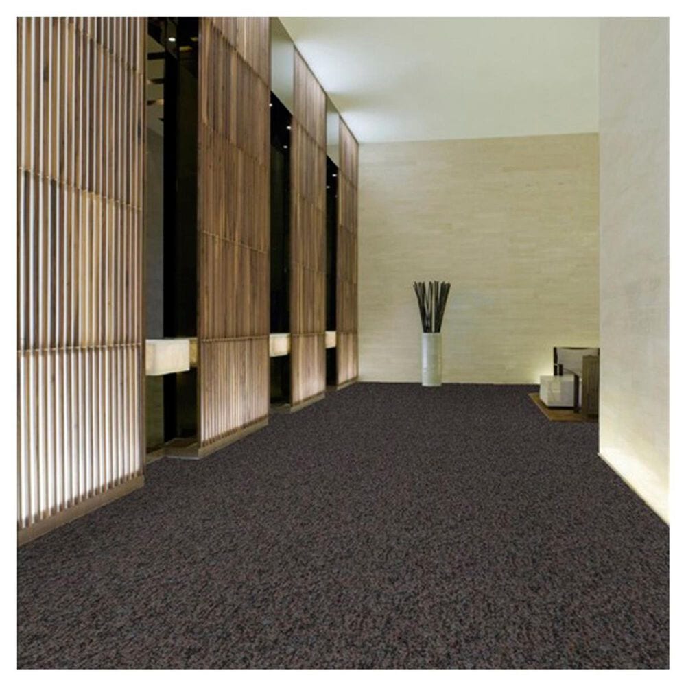 Shaw Sound Advice 24" x 24" Carpet Tile in Stay Active, , large