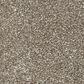 Marquis Industries Soho Carpet in Urban Khaki, , large