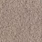 Anderson Tuftex Luxe Feel II Carpet in White Pine, , large