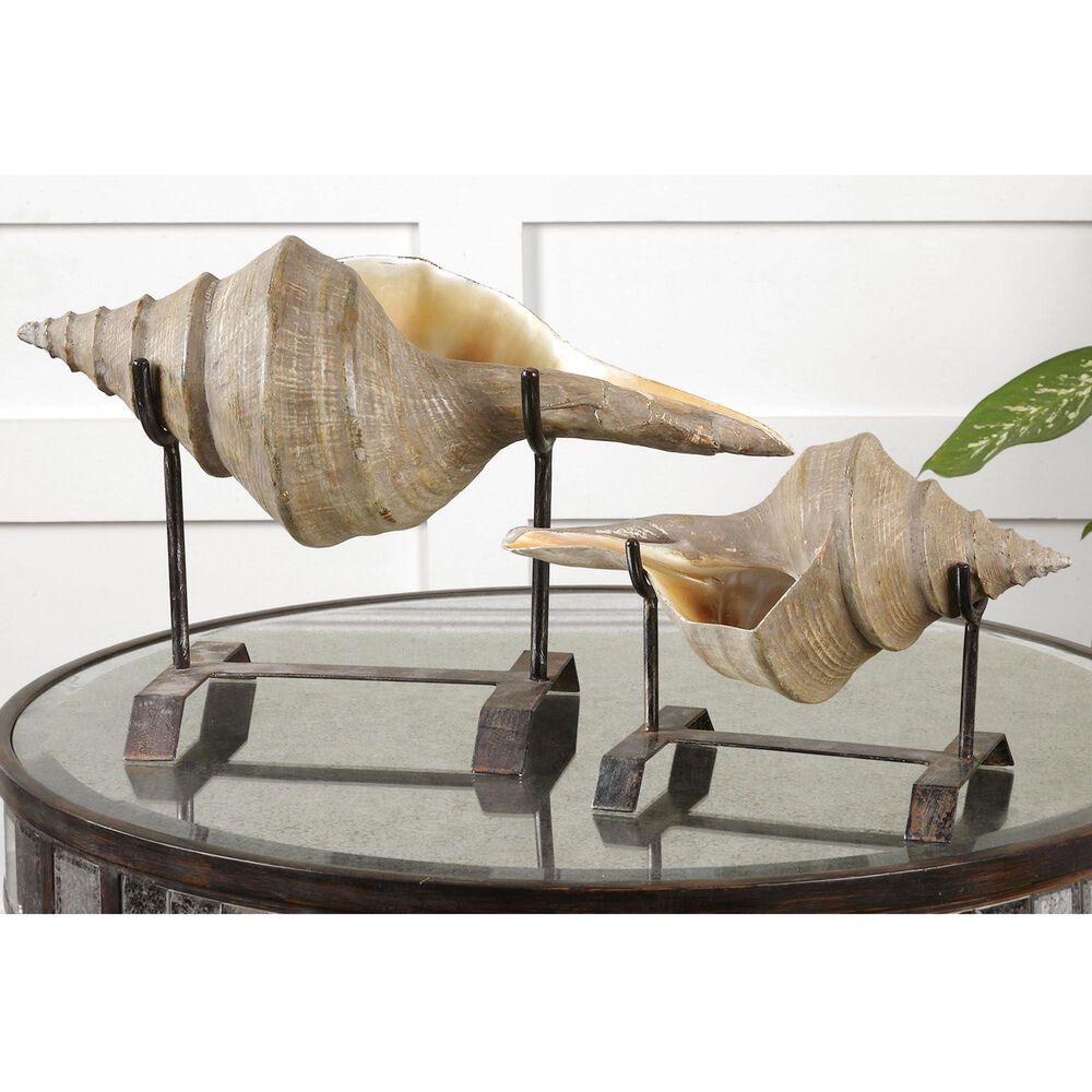 Uttermost Shell Sculpture (Set of 2), , large
