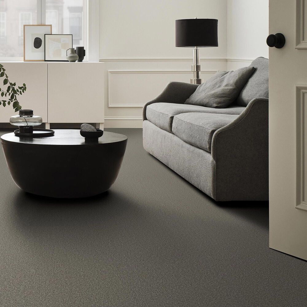 Anderson Tuftex Somerset Carpet in Flannel Gray, , large