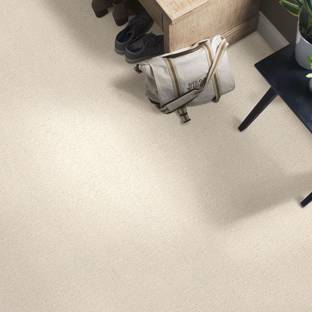 Anderson Tuftex Contour Carpet in Salt Box, , large