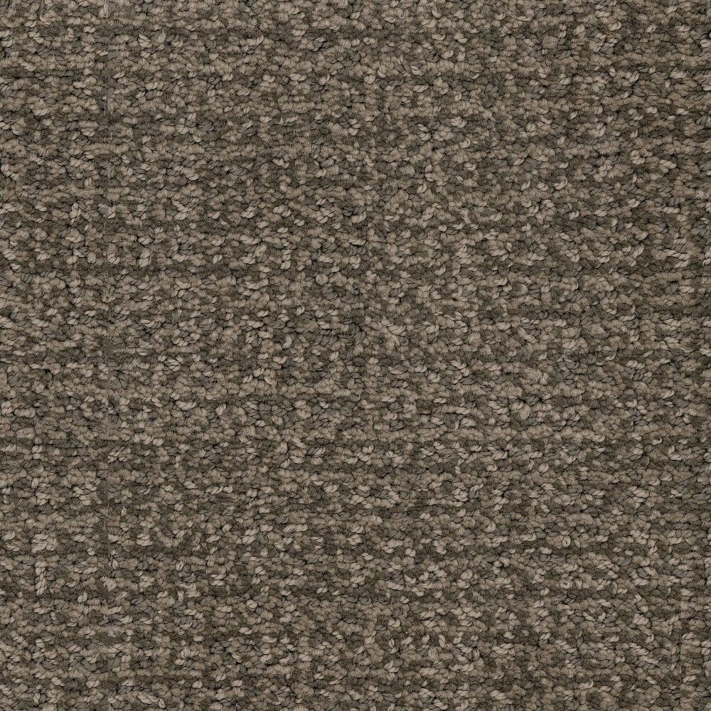 Masland Offspring Carpet in Andy Warhowl, , large