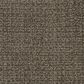 Masland Offspring Carpet in Andy Warhowl, , large