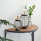 Maple and Jade Farmhouse Decorative Jar in Black and Brown (Set of 2), , large