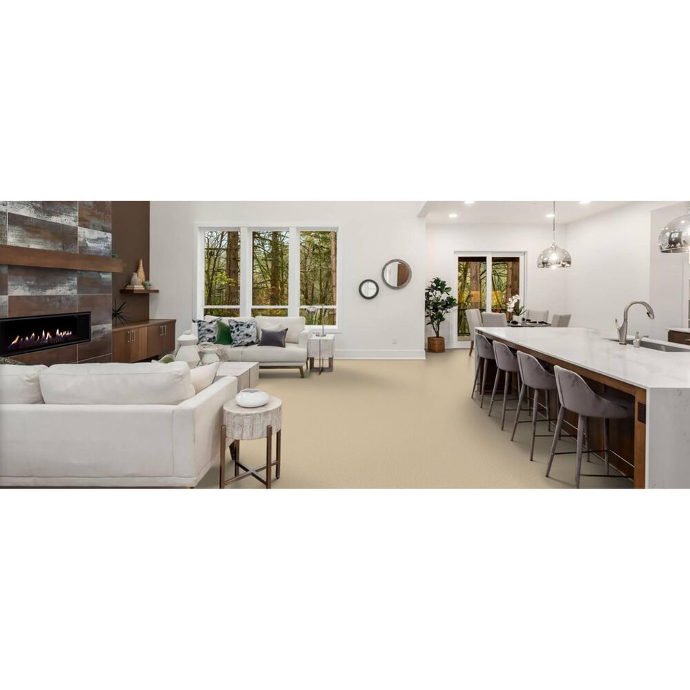 Masland Miami Carpet in Bar Harbor, , large