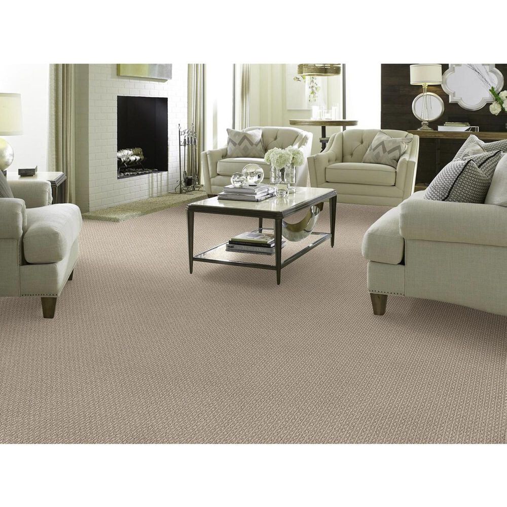 Anderson Tuftex Moondance Carpet in Bungalow, , large