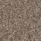 Shaw You Got This II Carpet in Cameo, , large