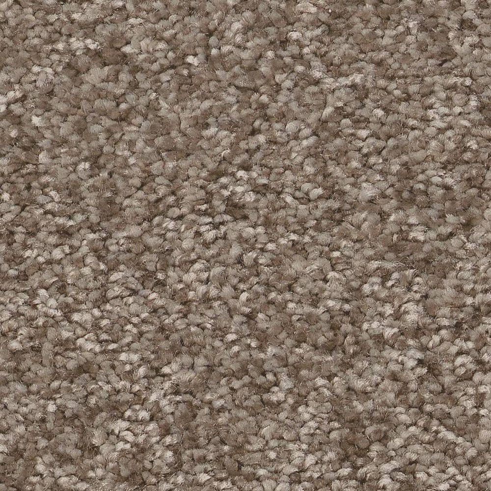 Shaw You Got This II Carpet in Cameo, , large