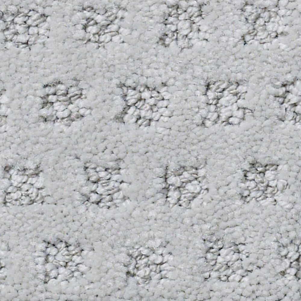 Anderson Tuftex Narrow Creek Carpet in Crete, , large
