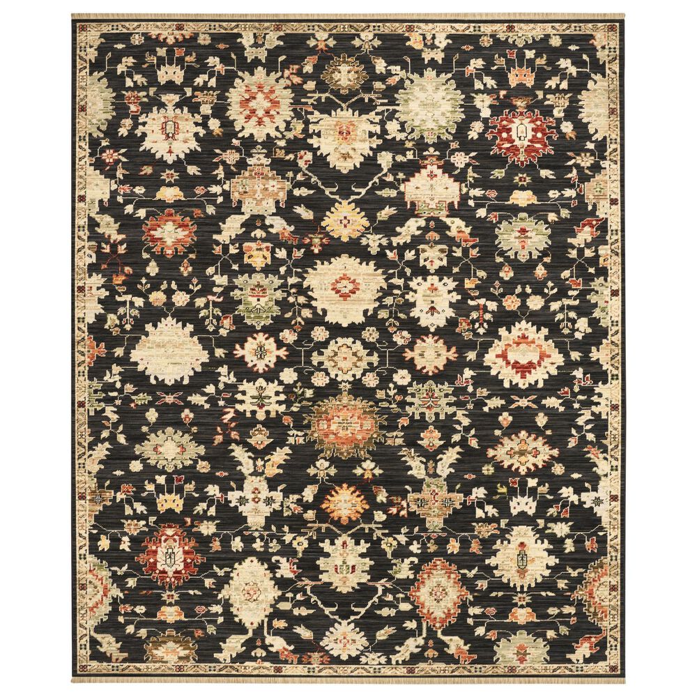Nourison Antique Bloom Black 10" x 13" Area Rug, , large