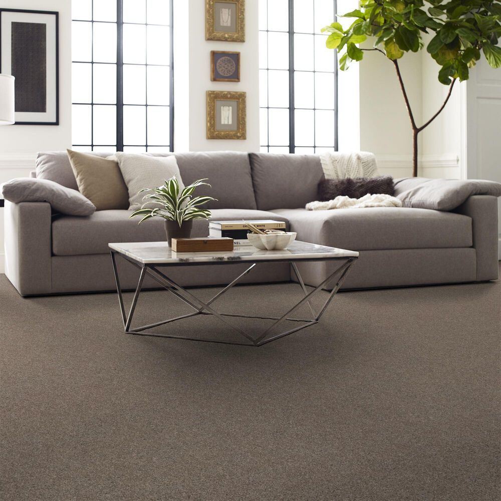 Shaw Yes You Can I Carpet in Cameo, , large