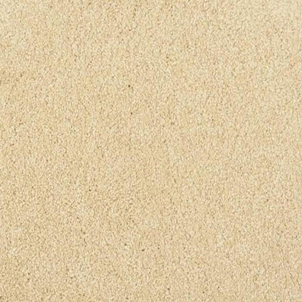 Masland Miami Carpet in Beach Comber, , large