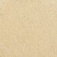Masland Miami Carpet in Beach Comber, , large