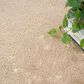 Nourison Cozy Shimmer 5"3" x 7"3" Beige Area Rug, , large