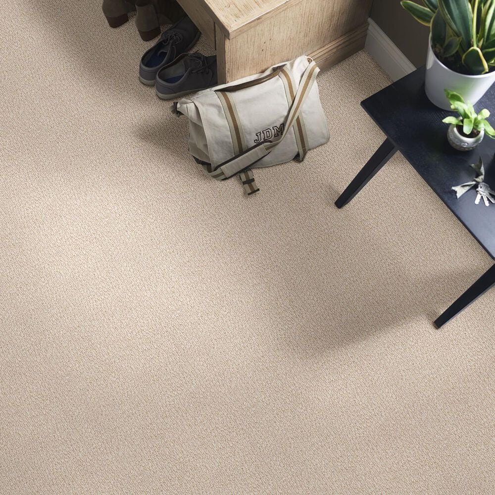 Anderson Tuftex Fur-Ever Carpet in Old Country, , large