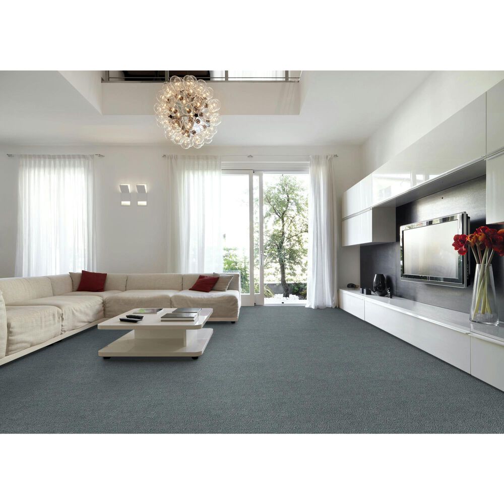 Godfrey-Hirst True North Carpet in Lucania, , large