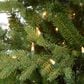 The Gerson Company 4" Potted Pre-Lit Artificial Blue Spruce with White Lights in Green, , large