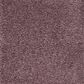 Mohawk Pleasant Touch Carpet in Winter Amethyst, , large