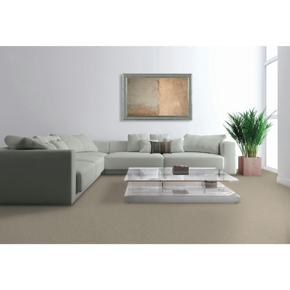 Mohawk Quality Feeling Carpet in Seagull, , large