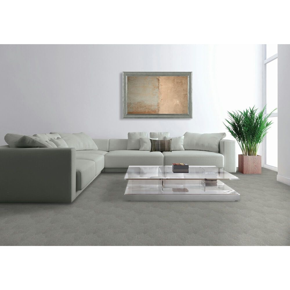 Mohawk Quality Feeling Carpet in Highgate, , large