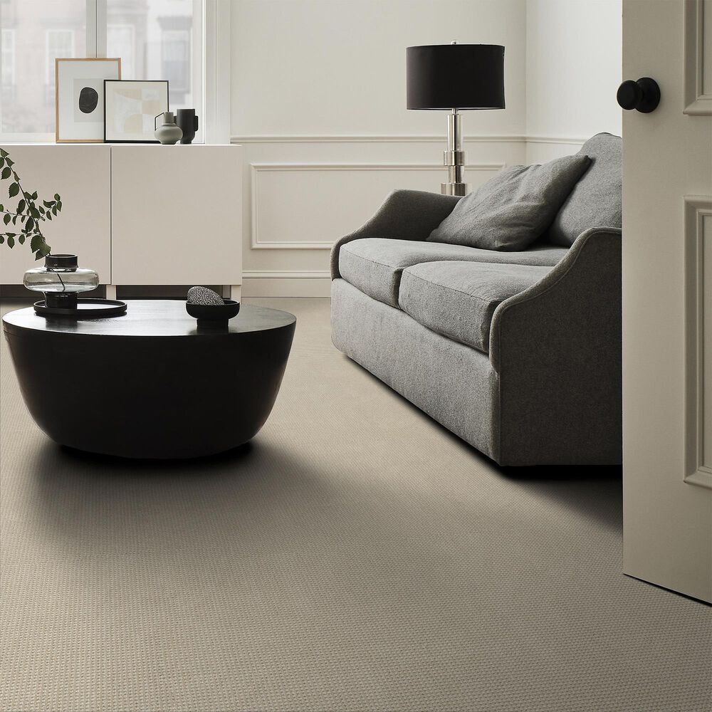 Anderson Tuftex Inspired Carpet in Basalt, , large