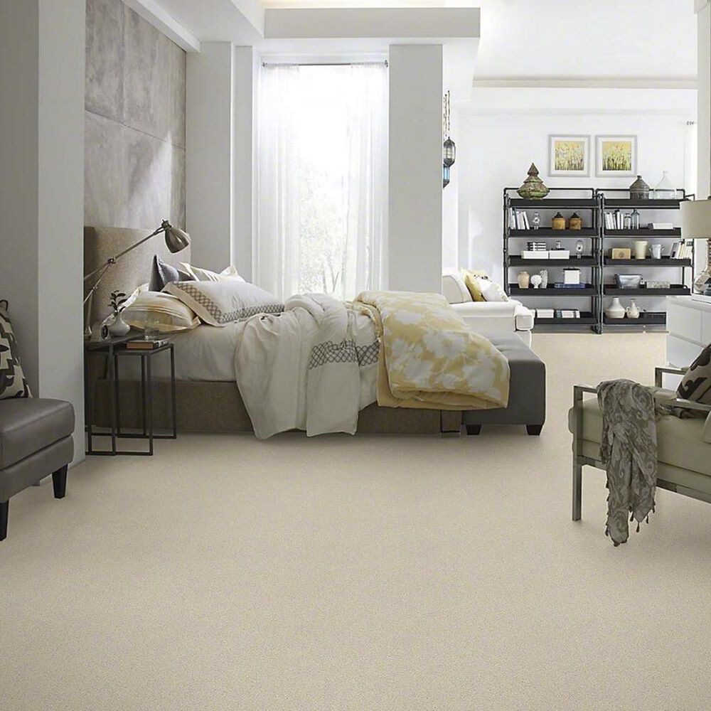 Shaw Barracan Classic IV Carpet in Cheviot, , large