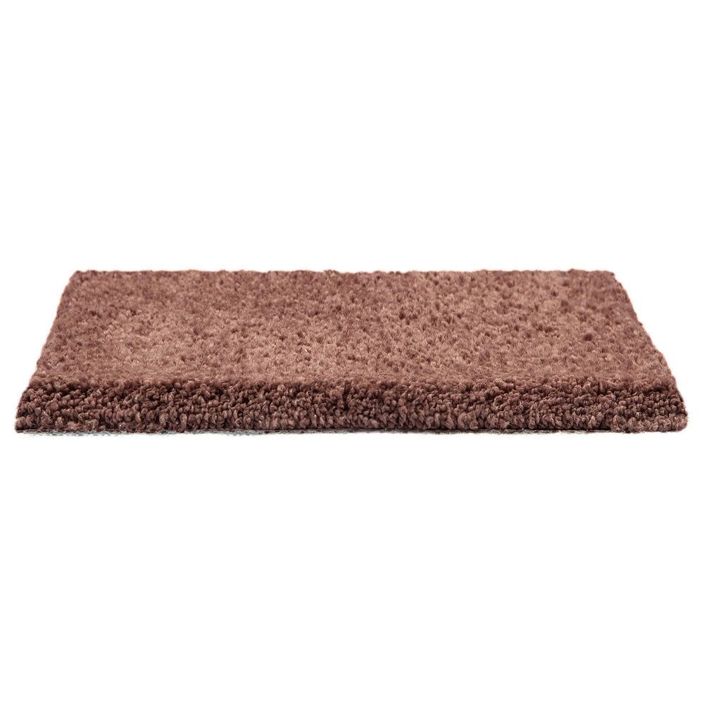 Mohawk Pleasant Touch Carpet in Tibetan, , large