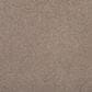 Mohawk Luxuriant Life Carpet in Clam Island, , large