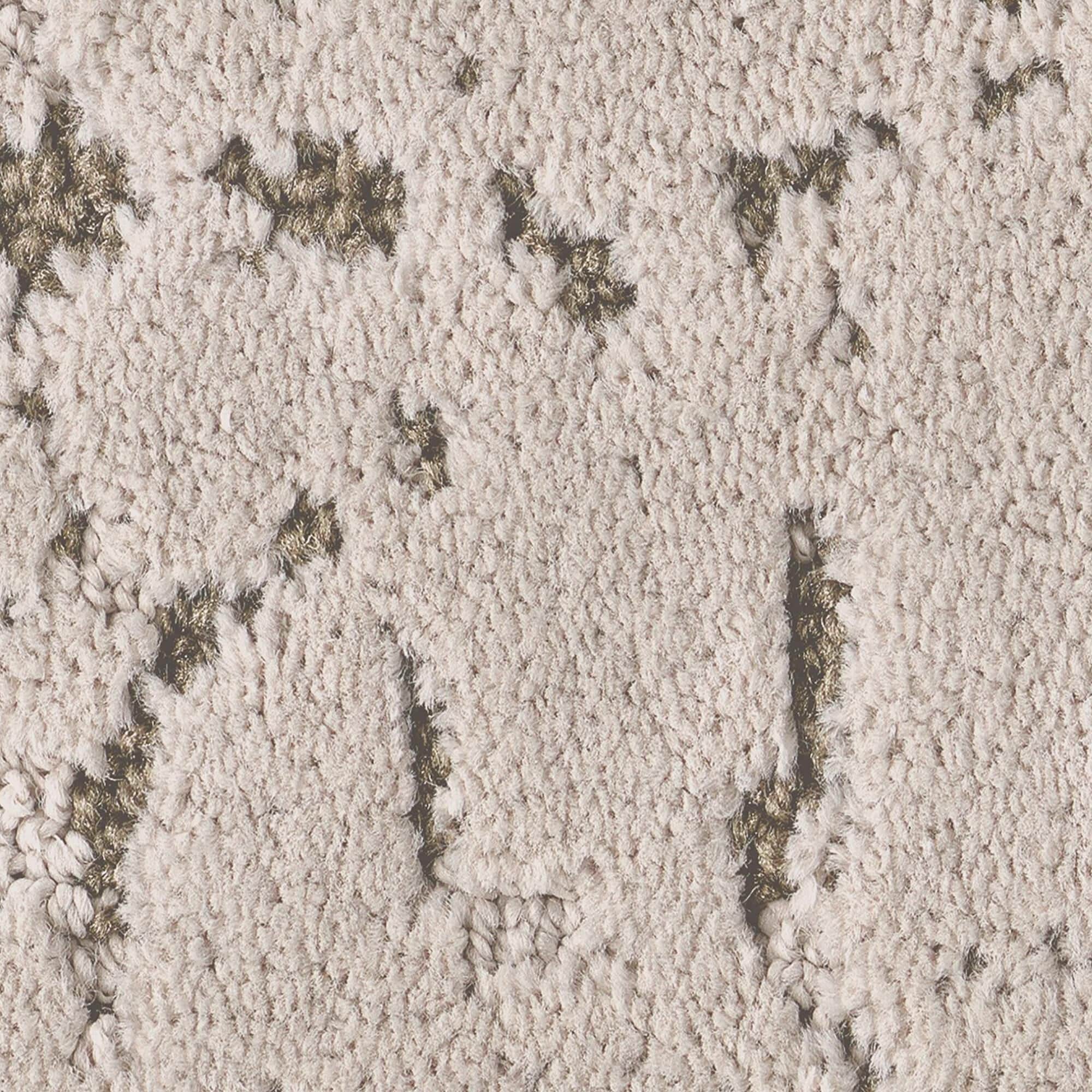 Anderson Tuftex Autograph Carpet in Soiree