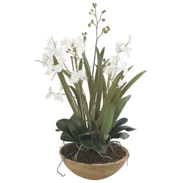 Uttermost Moth Orchid Planter, , large