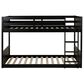 Linden Boulevard Dalton Low Profile Twin Bunk Bed in Black, , large