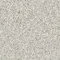 Anderson Tuftex Enduring Charm Carpet in Icy Morn, , large