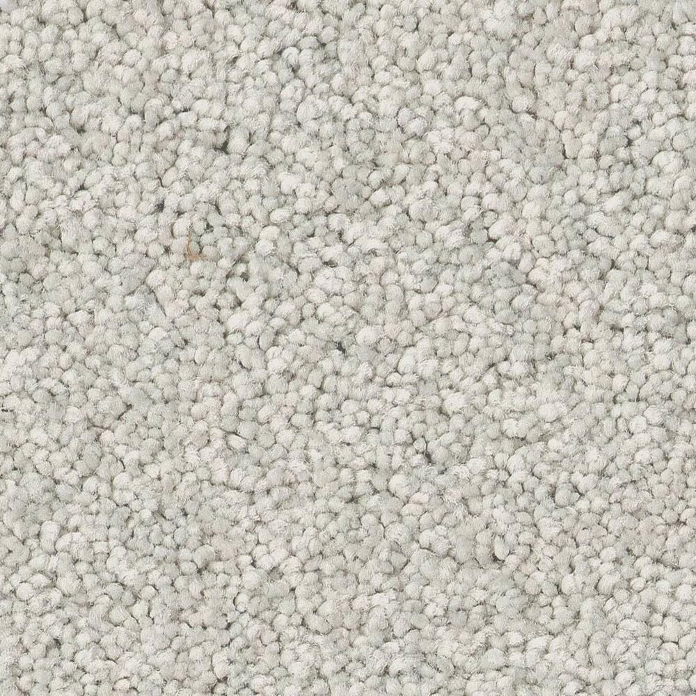 Anderson Tuftex Enduring Charm Carpet in Icy Morn, , large