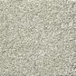 Shaw Your Comfort I Carpet in Willow Tree, , large