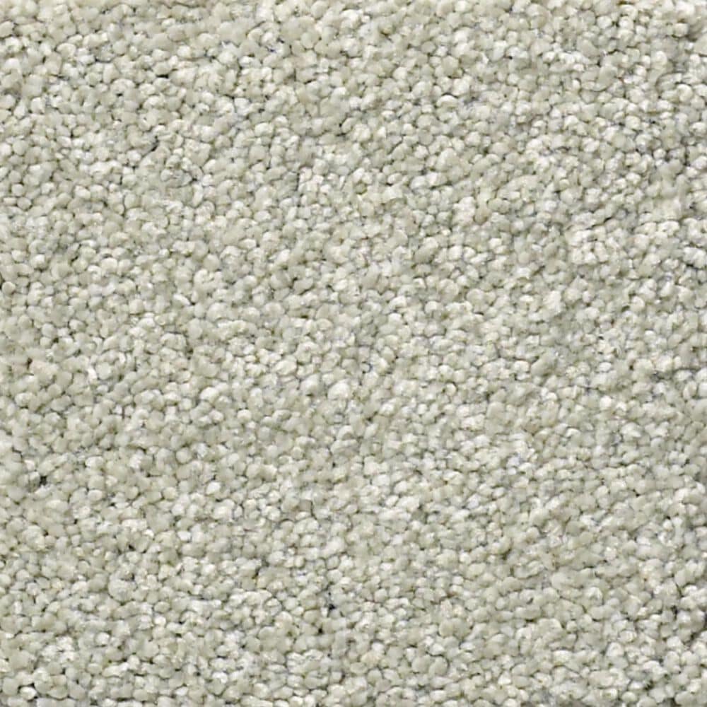 Shaw Your Comfort I Carpet in Willow Tree, , large