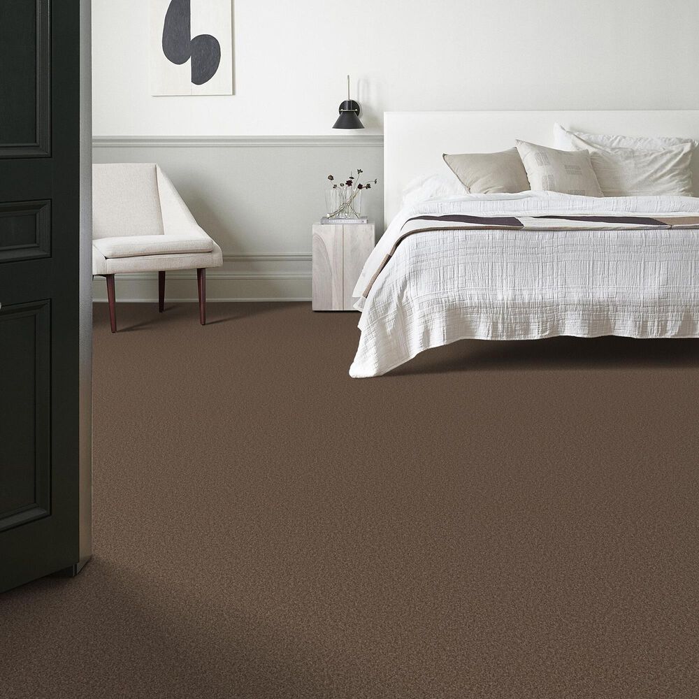 Shaw Tonal Comfort I Carpet in Cliff Hiking, , large