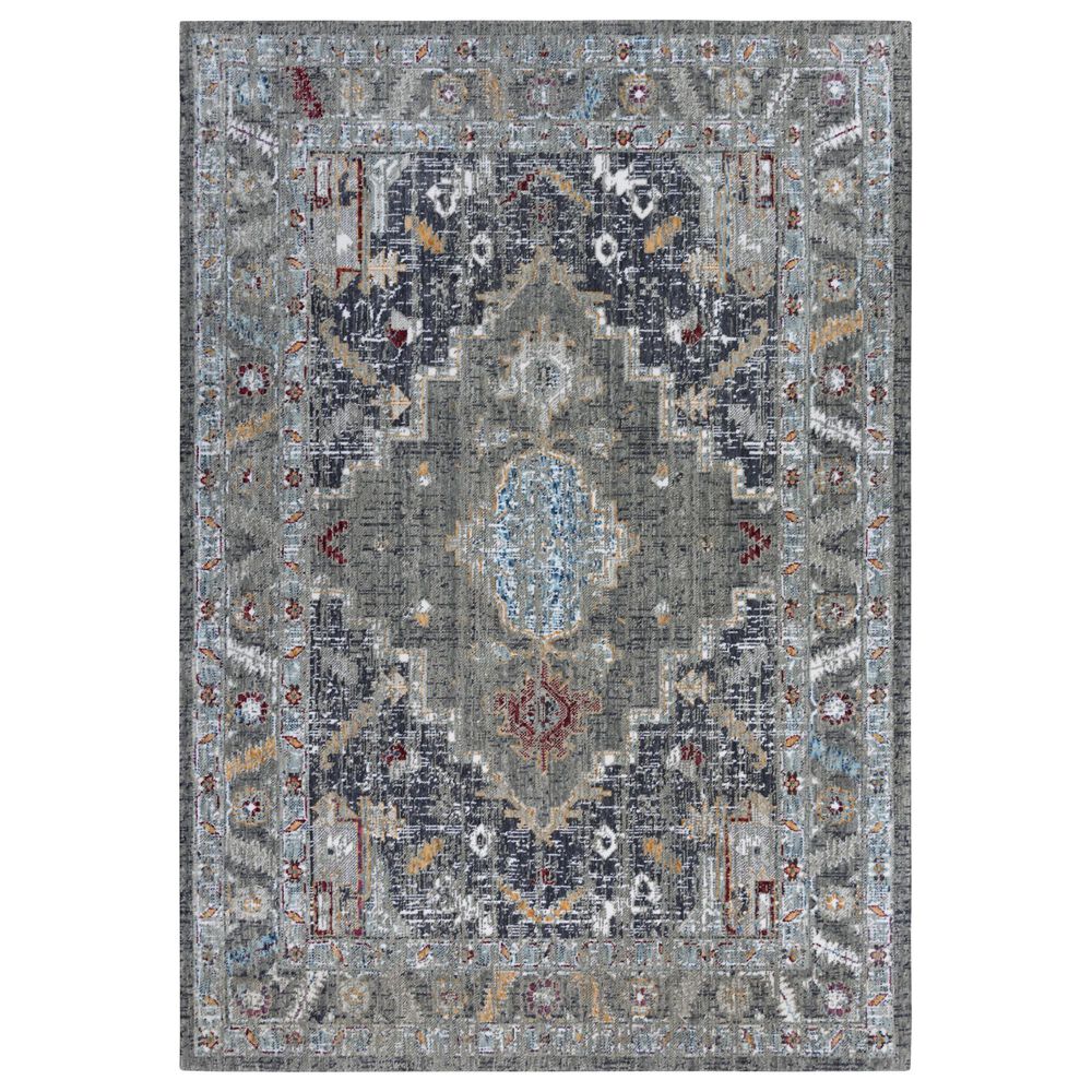 RIZZY Signature Gray and Multicolor 8' x 10' Area Rug, , large
