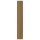 Shaw Dwell Rich Cocoa 9" x 60" Luxury Vinyl Plank, , large