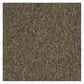 Shaw Multiplicity Carpet in Exuberance, , large