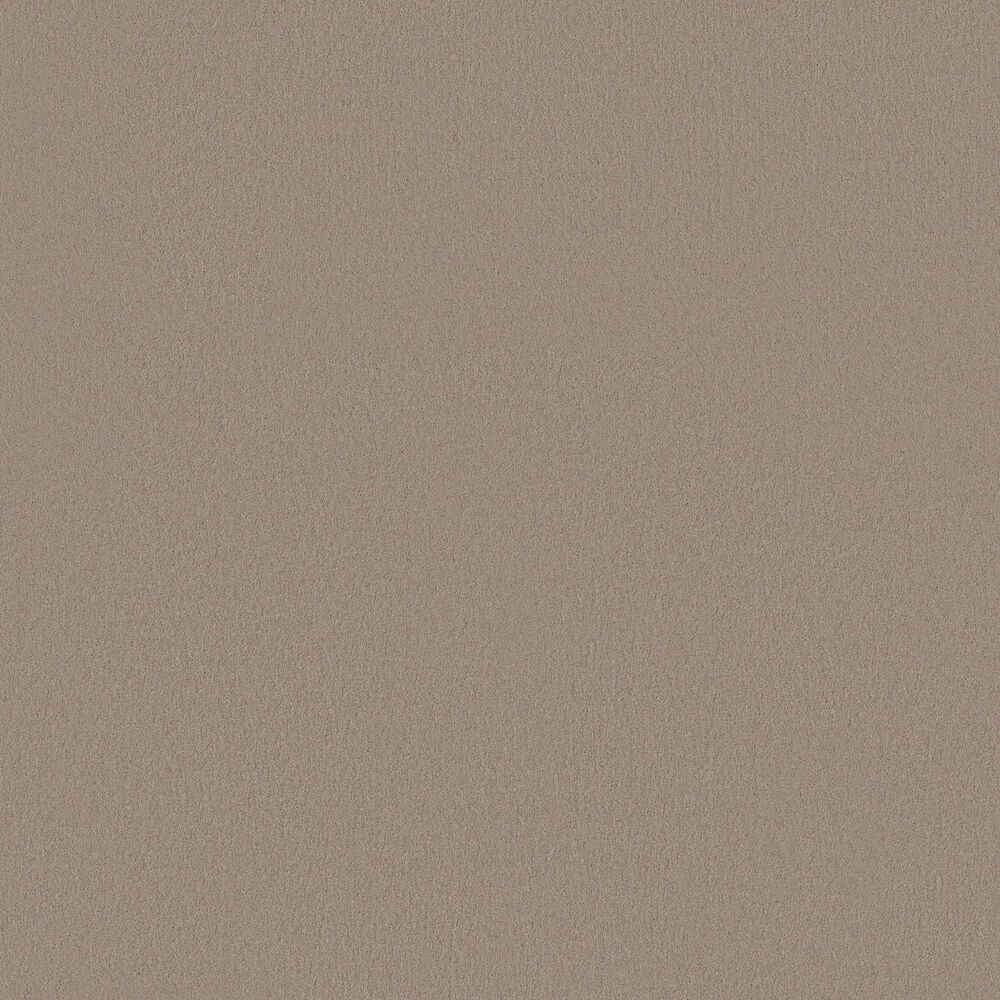 Anderson Tuftex Finery Carpet in Dusty Trail, , large