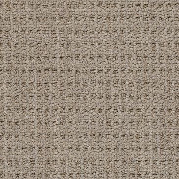 Dixie Home Country Home Carpet in Cedar, , large