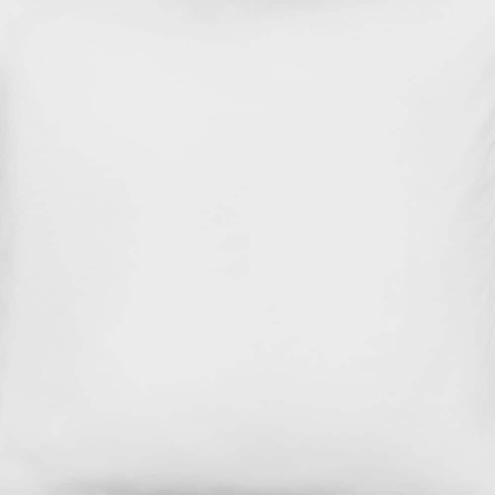 J. Queen New York Darby 20&quot; Square Throw Pillow in White, , large