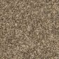 Mohawk Raise The Woof I Carpet in Cracked Wheat, , large