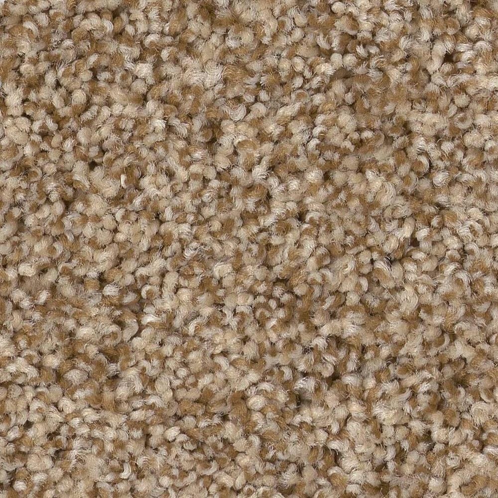 Anderson Tuftex Terra Nova Carpet in Hazel, , large
